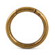 Union Knopf Карабин 25 мм | 851-состаренная латунь