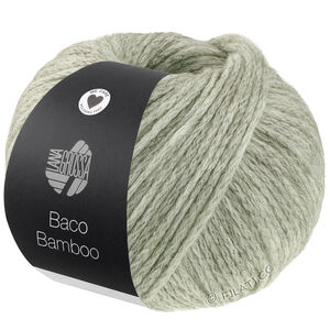 Lana Grossa BACO BAMBOO | 06-зелёно-бежевый