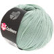 Lana Grossa 365 CASHMERE | 13-мята