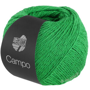Lana Grossa CAMPO | 09-нефритовый