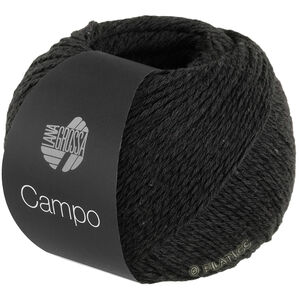 Lana Grossa CAMPO | 24-чёрный