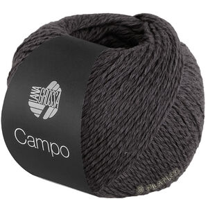 Lana Grossa CAMPO | 25-серо-коричневый