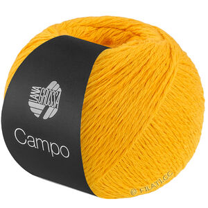 Lana Grossa CAMPO | 37-жёлтый