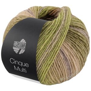 Lana Grossa CINQUE MULTI | 26-серо-зелёный/ежевичный/сиреневый/розовое дерево/горчичный меланжевый