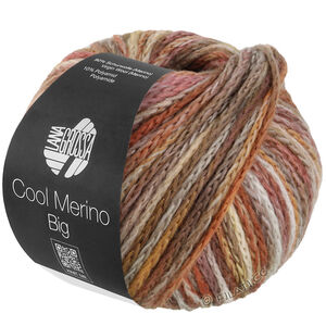 Lana Grossa COOL MERINO Big Color | 406-нуга/бежевый/серо-коричневый/коньячный/розовое дерево/серебристо-серый/серо-коричневый/пыльно-розовый