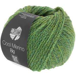 Lana Grossa COOL MERINO Big | 204-зелёный