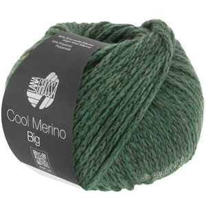 Lana Grossa COOL MERINO Big | 205-мшисто-зелёный