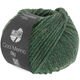 Lana Grossa COOL MERINO Big | 205-мшисто-зелёный