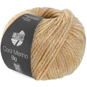 Lana Grossa COOL MERINO Big | 223-бежевый