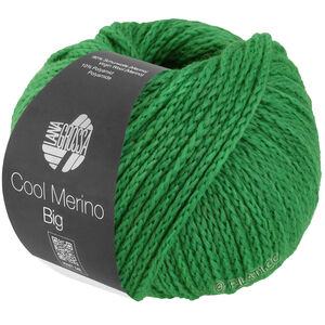 Lana Grossa COOL MERINO Big | 226-весенне-зелёный