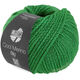 Lana Grossa COOL MERINO Big | 226-весенне-зелёный