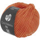 Lana Grossa COOL MERINO Big | 236-лососевый