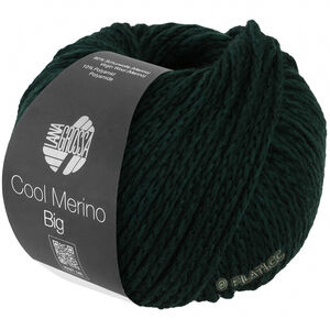 Lana Grossa COOL MERINO Big | 238-еловый