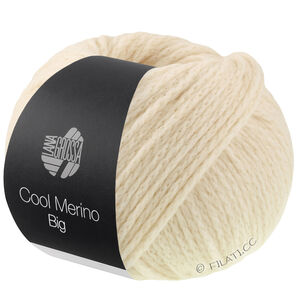 Lana Grossa COOL MERINO Big | 241-ракушка