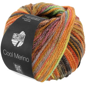 Lana Grossa COOL MERINO Color | 313-коричневый/жёлтый/оранжевый/серо-зелёный/яблочно-зелёный/бутылочно-зелёный/нефрит/умбра/цвет ржавчины/вереск/малиновый