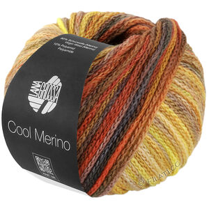 Lana Grossa COOL MERINO Color | 314-кэмел/умбра/цвет ржавчины/жёлтый/бежевый/серо-коричневый/нуга