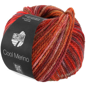 Lana Grossa COOL MERINO Color | 316-красно-коричневый/лососевый/кэмел/бургунд/бордовый/маковый/розовый/серо-коричневый/оранжево-красный