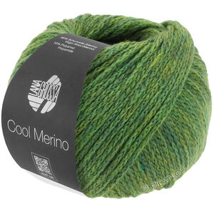Lana Grossa COOL MERINO | 004-зелёный