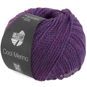 Lana Grossa COOL MERINO | 025-баклажановый