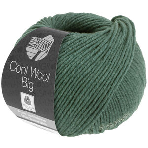 Lana Grossa COOL WOOL Big  Uni/Melange уни/меланж | 1004-мшисто-зелёный