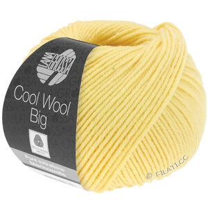 Lana Grossa COOL WOOL Big  Uni/Melange уни/меланж | 1007-ванильный