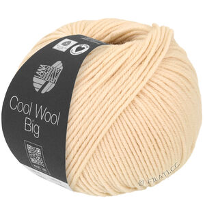 Lana Grossa COOL WOOL Big  Uni/Melange уни/меланж | 1016-ракушка