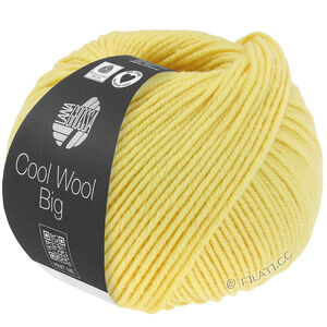 Lana Grossa COOL WOOL Big  Uni/Melange уни/меланж | 1028-зелёно-жёлтый