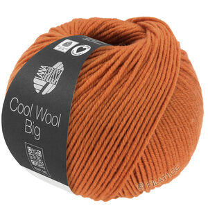 Lana Grossa COOL WOOL Big  Uni/Melange уни/меланж | 1036-оранжево-коричневый