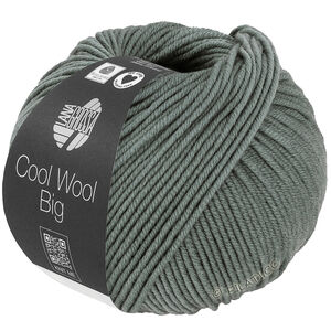 Lana Grossa COOL WOOL Big  Uni/Melange уни/меланж | 1040-серо-зелёный