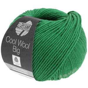 Lana Grossa COOL WOOL Big  Uni/Melange уни/меланж | 0939-тёмно-зелёный