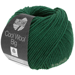 Lana Grossa COOL WOOL Big  Uni/Melange уни/меланж | 0949-бутылочно-зелёный