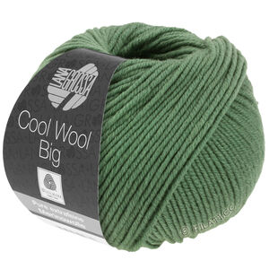 Lana Grossa COOL WOOL Big  Uni/Melange уни/меланж | 0967-резедово-зелёный