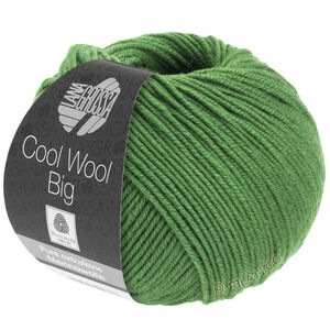 Lana Grossa COOL WOOL Big  Uni/Melange уни/меланж | 0997-лиственно-зелёный