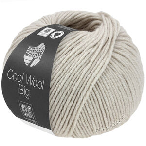 Lana Grossa COOL WOOL Big Mélange (We Care) | 1691-грейдж меланжевый