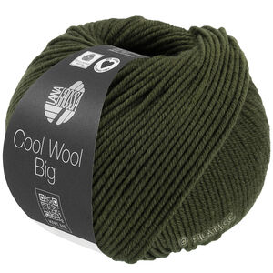 Lana Grossa COOL WOOL Big Mélange (We Care) | 1695-лоденовый зелёный меланжевый