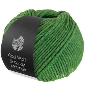 Lana Grossa COOL WOOL Superbig Mélange | 211-зелёный меланжевый