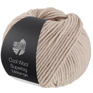 Lana Grossa COOL WOOL Superbig Mélange | 232-серо-бежевый меланжевый