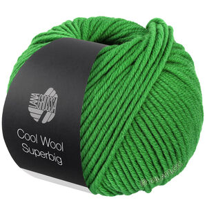 Lana Grossa COOL WOOL Superbig | 26-зелёный
