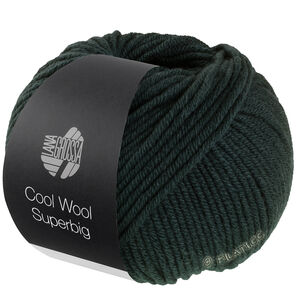 Lana Grossa COOL WOOL Superbig | 29-лоденовый зелёный