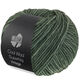 Lana Grossa COOL WOOL Superbig Vintage | 7268-зелёно-серый