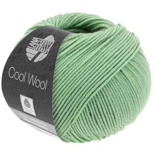 Lana Grossa COOL WOOL | 2078-резедово-зелёный