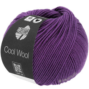Lana Grossa COOL WOOL | 2109-баклажановый