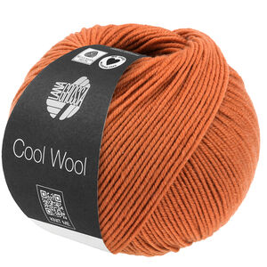 Lana Grossa COOL WOOL | 2116-оранжево-коричневый