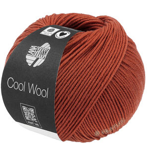 Lana Grossa COOL WOOL | 2125-коричневый цвет корицы