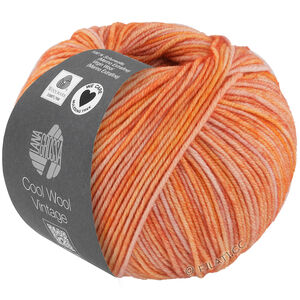 Lana Grossa COOL WOOL Vintage | 7385-бежевый/персик/оранжевый