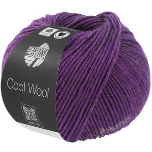 Lana Grossa COOL WOOL Mélange (We Care) | 1499-фиолетовый меланжевый