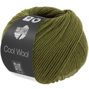 Lana Grossa COOL WOOL Mélange (We Care) | 1506-оливковый меланжевый