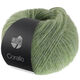 Lana Grossa CORALLO 50g | 109-шалфейный