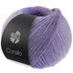 Lana Grossa CORALLO 100g | 08-сиреневый/лавандовый/серо-фиолетовый