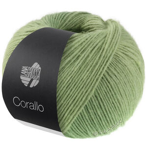 Lana Grossa CORALLO 100g | 09-серо-зелёный/шалфейный/резедово-зелёный